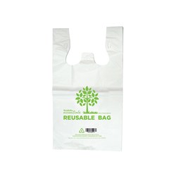 Plastic Reusable Carry Bag Green Small 400x300mm