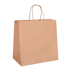Paper Bag with Twist Handle Large Brown 305mm