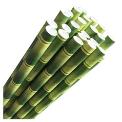 Paper Straw Regular Bamboo Print